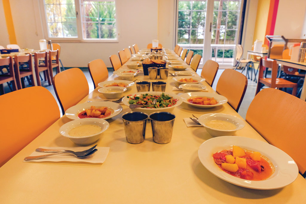 Sağlıklı Beslenme